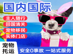 牡丹江机场快运国际宠物托运 【国